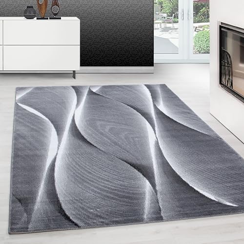 Teppium Moderner Kurzflor Teppich Wohnzimmer 300x400 (280 x 370 cm) Schwarz - Teppich Waschbar, Ombre Design, Pflegeleicht und Weich - Ideal für Schlafzimmer, Esszimer und als Küchenteppich von Teppium