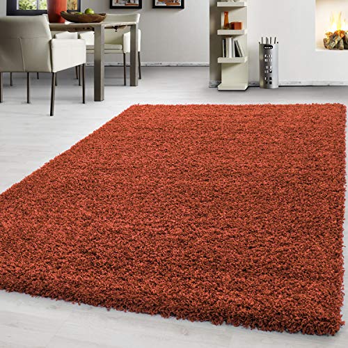 Teppium Moderner Hochflor Teppich Läufer Flur 100x200 cm Terrakotta - Shaggy Flauschiger Teppich, Weich, Pflegeleicht - Ideal als Bettvorleger im Schlafzimmer, Küchenläufer, Wohnzimmerteppich von Teppium