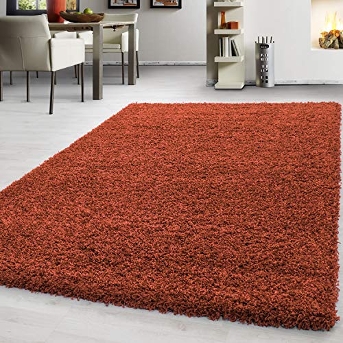 Teppium Moderner Hochflor Teppich Wohnzimmer 120 x 170 cm Terrakotta - Shaggy Flauschiger Teppich, Extra Weich, Pflegeleicht und Einfarbig - für Schlafzimmer, Küche und Esszimmer von Teppium