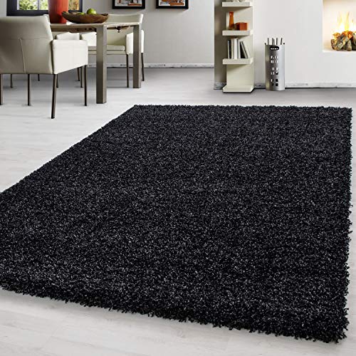 Teppium Moderner Hochflor Teppich Wohnzimmer 120 x 170 cm Anthrazit - Shaggy Flauschiger Teppich, Extra Weich, Pflegeleicht und Einfarbig - für Schlafzimmer, Küche und Esszimmer von Teppium