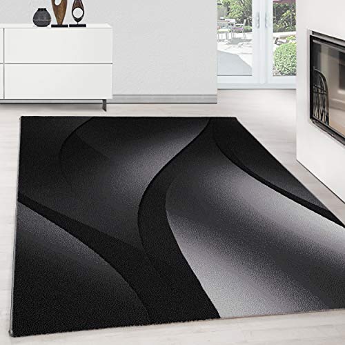 Teppium Moderner Kurzflor Teppich Wohnzimmer 200x300 (200 x 290 cm) Schwarz - Flauschiger Teppich Waschbar, Ombre Design, Pflegeleicht, Weich - Ideal für Schlafzimmer, Esszimer und als Küchenteppich von Teppium