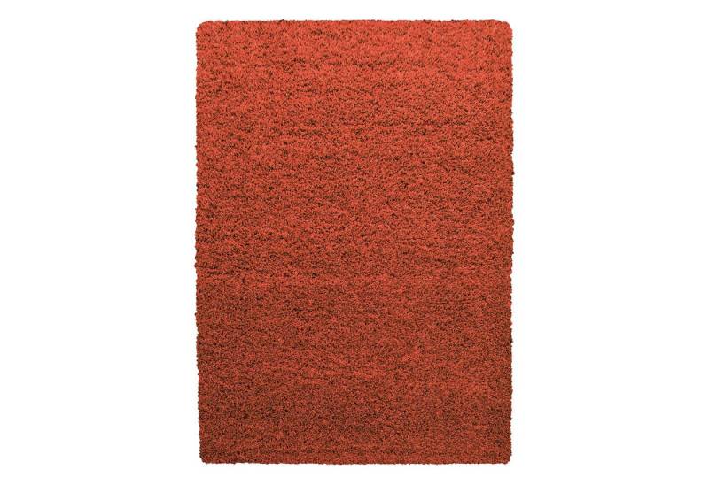 Teppium Teppich Unicolor - Einfarbig, Rechteckig, Höhe: 30 mm, Teppich Wohnzimmer Shaggy Einfarbig Terrakotta Modern Flauschig Weiche von Teppium