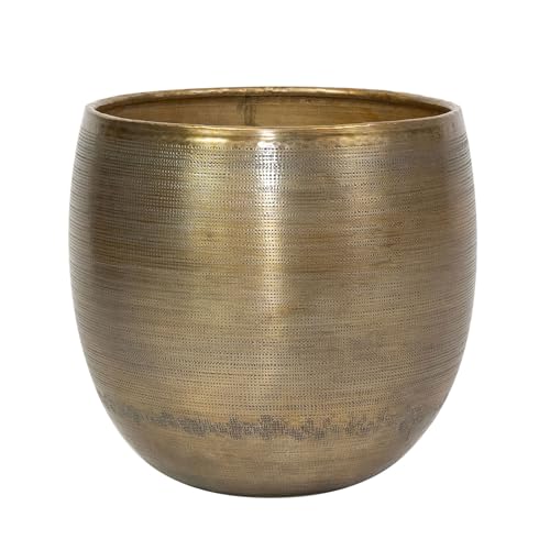 Ter Steege Blumentopf Aluminium Gold D 31 cm H 28 cm Ter Steege Blumentopf Aluminium Gold D 31 cm H 28 cm von Ter Steege
