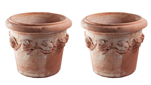 2er Set Pflanzgefäß Übertopf Blumenkübel Siena Conca Limoni -italienisches Terrakotta- absolut frostfest- (36cm) von Teramico
