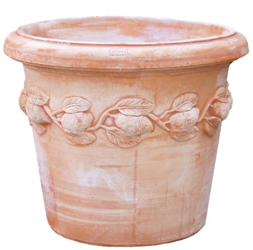 Blumentopf Pflanzgefäß Übertopf Terracotta FROSTFEST QUALITÄTSWARE Conca LIMONI (42cm) von Teramico