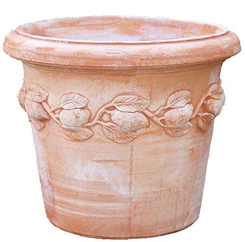 Blumentopf Pflanzgefäß Übertopf Terracotta FROSTFEST QUALITÄTSWARE Conca Limoni (30cm) von Teramico