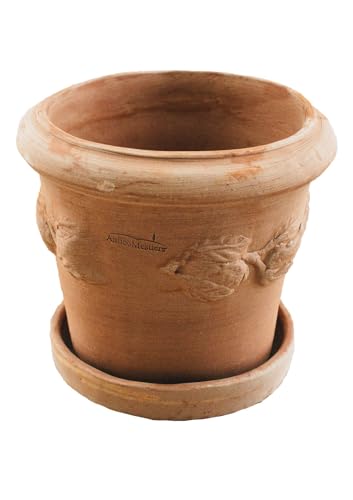 Pflanzgefäß Blumentopf Italienisches Terracotta Conca LIMONI mit Teller/Untersetzer für den Innen- und Außenbereich (25cm) von Teramico