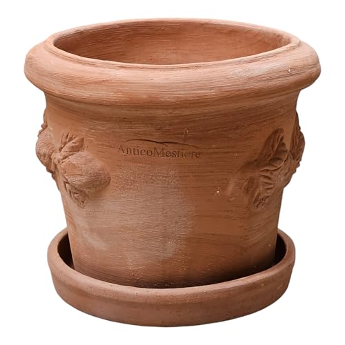 Pflanzgefäß Blumentopf Italienisches Terracotta Conca LIMONI mit Teller/Untersetzer für den Innen- und Außenbereich (30cm) von Teramico