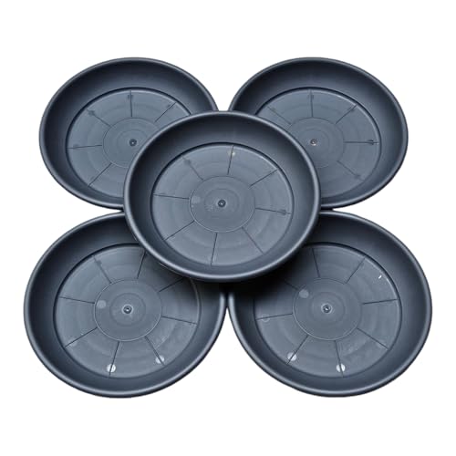 Teramico 5X Wetterfeste Pflanzuntersetzer Blumentopfuntersetzer aus italienischem Kunststoff. Für Balkon, Terrasse & Garten in Terrakotta, Anthrazit, Taupe. (Anthrazit, 46cm) von Teramico