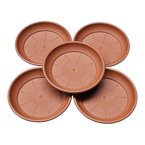 Teramico 5X Wetterfeste Pflanzuntersetzer Blumentopfuntersetzer aus italienischem Kunststoff. Für Balkon, Terrasse & Garten in Terrakotta, Anthrazit, Taupe. (Terrakotta, 30cm) von Teramico
