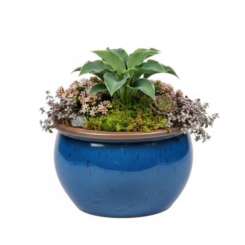 Teramico Blumentopf Pflanzgefäß Übertopf Modell Bavaria Grün Blau Verschiedene Größen - absolut frostfest (40cm, Royal Blau) von Teramico