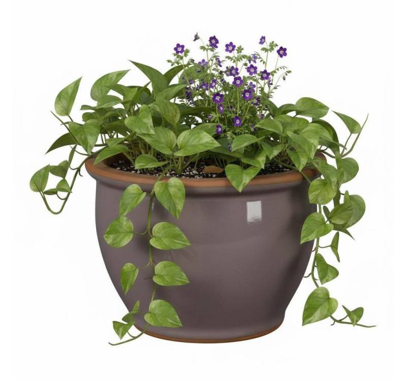 Teramico Pflanzkübel Blumentopf Pflanzgefäß aus Keramik Modell "Roma" 18cm Lavendel, 100% Frostfest von Teramico