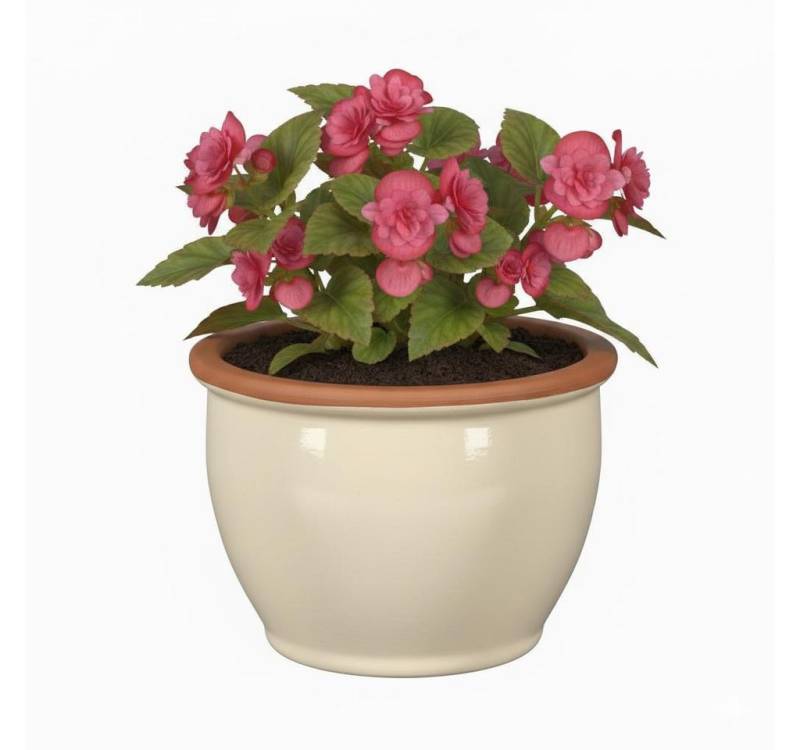 Teramico Pflanzkübel Blumentopf Pflanzgefäß aus Keramik Modell "Roma" 30cm Creme, 100% Frostfest von Teramico