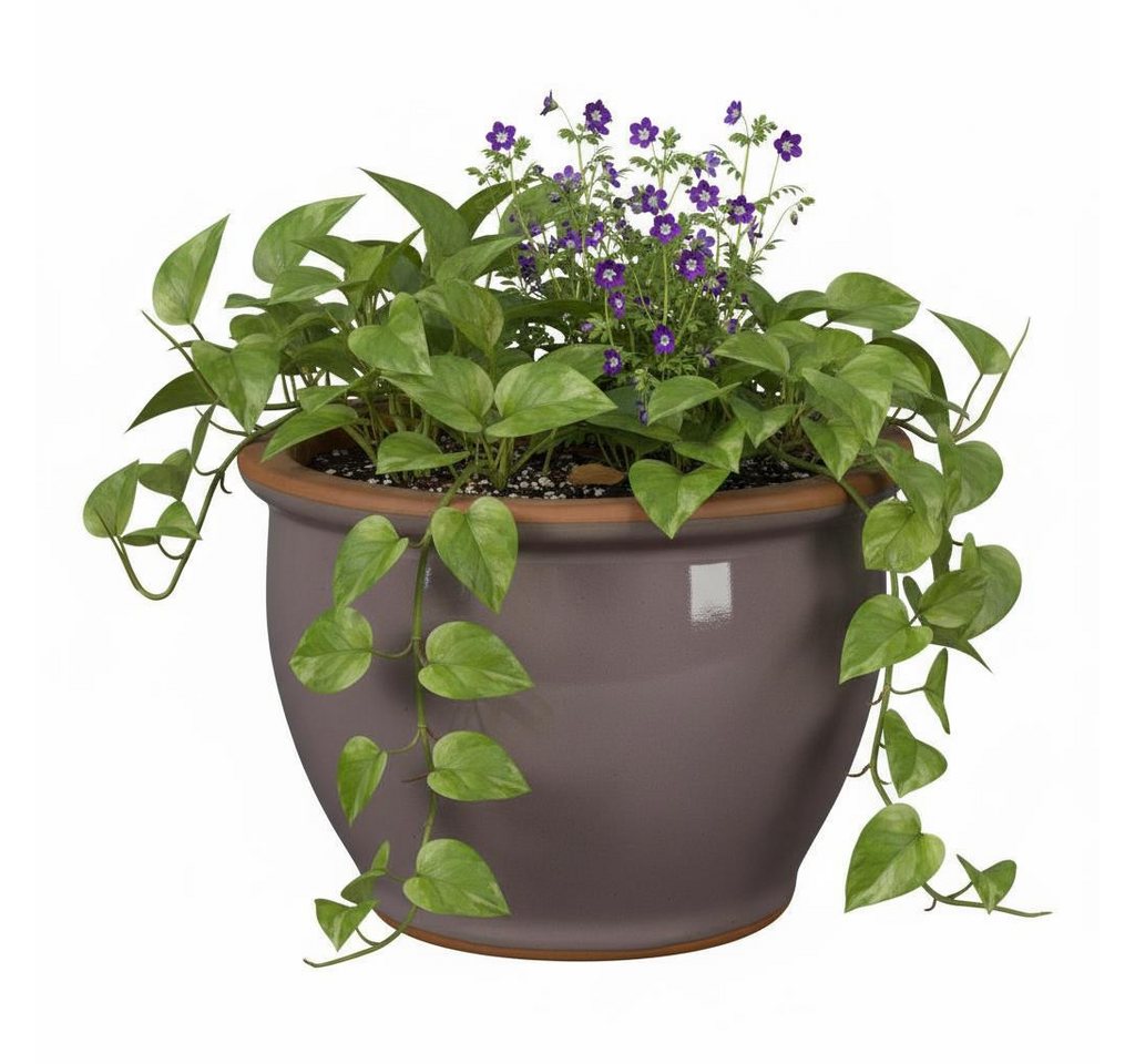 Teramico Pflanzkübel Blumentopf Pflanzgefäß aus Keramik Modell "Roma" 38cm Lavendel, 100% Frostfest von Teramico
