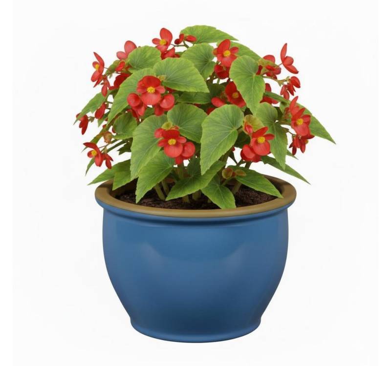 Teramico Pflanzkübel Blumentopf Pflanzgefäß aus Keramik Modell "Roma" 38cm Soft Blau, 100% Frostfest von Teramico