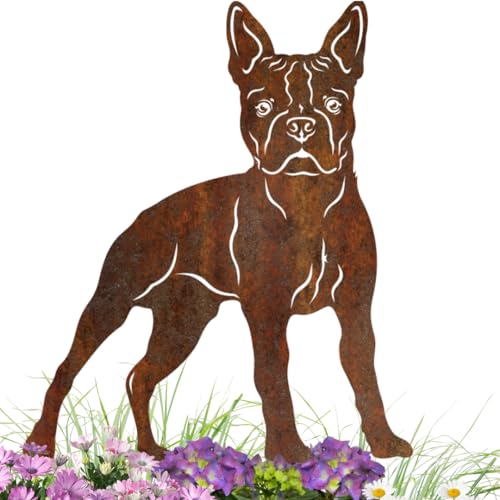 Terma Stahldesign Edelrost Hund Verschiedene Rassen, Handmade Germany, tolle gartendeko aus Rost-Metall, deko rostoptik, Rostfiguren Tiere, rostfiguren Garten, Rostdeko (Boston Terrier) von Terma