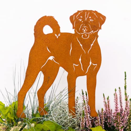 Terma Stahldesign Edelrost Hund Verschiedene Rassen, Handmade Germany, tolle gartendeko aus Rost-Metall, deko rostoptik, Rostfiguren Tiere, rostfiguren Garten, Rostdeko (Appenzeller Sennenhund) von Terma