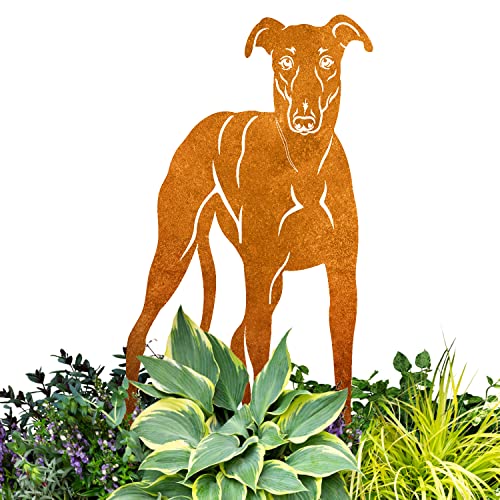 Terma Stahldesign Edelrost Hund Verschiedene Rassen, Handmade Germany, tolle gartendeko aus Rost-Metall, deko rostoptik, Rostfiguren Tiere, rostfiguren Garten, Rostdeko (Windhund Galgo) von Terma