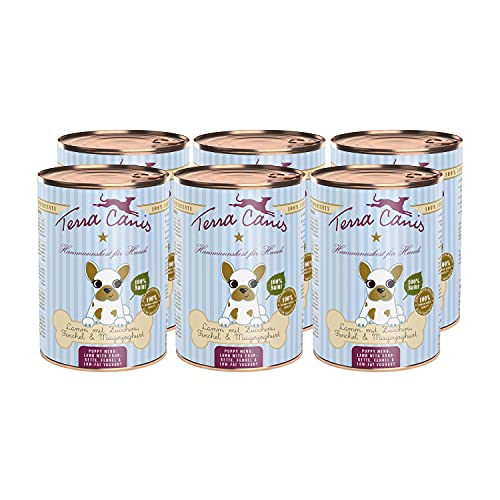 Terra Canis Lamm, Zucchini, Magerquark & Fenchel - Welpen Nassfutter, 6x400g I Premium Hundefutter in 100% Lebensmittelqualität Aller Rohstoffe I Reichhaltig & gesund I Allergenarm & glutenfrei von Terra Canis