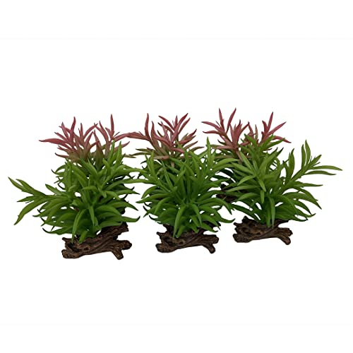 Terra Della, Crassula 13 x 10,5 x 16 cm gemischte Farben, Reptilien, gemischte Farben, Reptilien Terra Della, Crassula 13 x 10,5 x 16 cm gemischte Farben, Reptilien, gemischte Farben, Reptilien von Terra Della