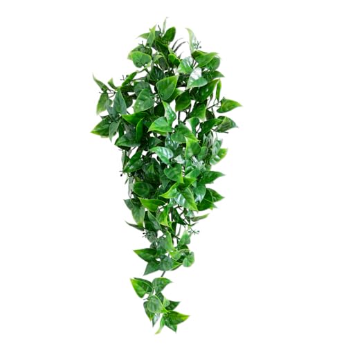 Kunstpflanze Weinrebe - Hängepflanze für Terrarien als Versteck für Ihr Terrarium - Terrarium Plants - Evergreen Vine (Medium 40 cm) von Terra Exotica