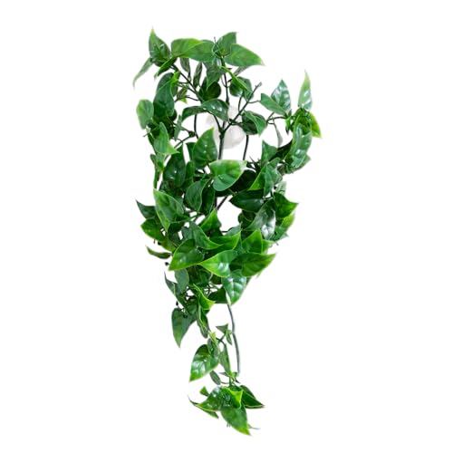 Kunstpflanze Weinrebe - Hängepflanze für Terrarien als Versteck für Ihr Terrarium - Terrarium Plants - Evergreen Vine (Small 30 cm) von Terra Exotica