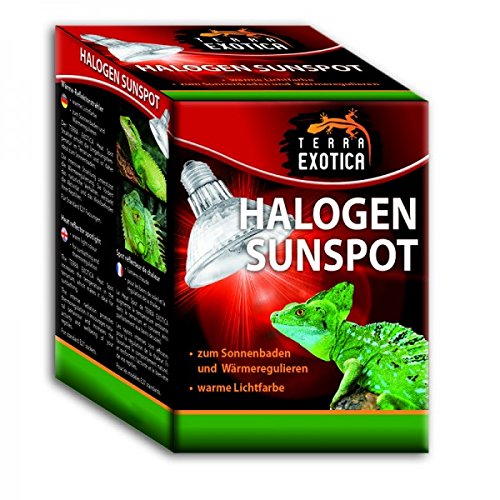Terra Exotica Halogen Sunspot 50 Watt - Halogen Sun Spot Spotstrahler Wärmestrahler von Terra Exotica