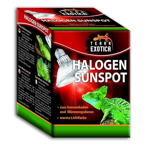 Terra Exotica Halogen Sunspot - Halogen Sun Spot für Ihr Terrarium - Spotstrahler/Wärmestrahler für Reptilien (50 Watt) von Terra Exotica
