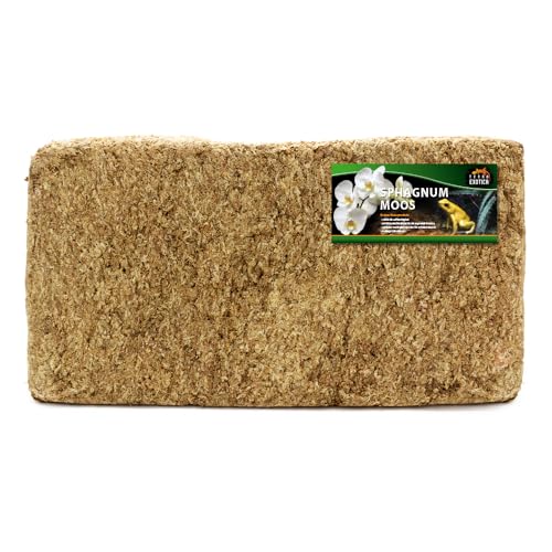 Terra Exotica Sphagnum Moos (5 Kg) Torfmoos für Garten-, Zimmerpflanzen & Terrarien von Terra Exotica