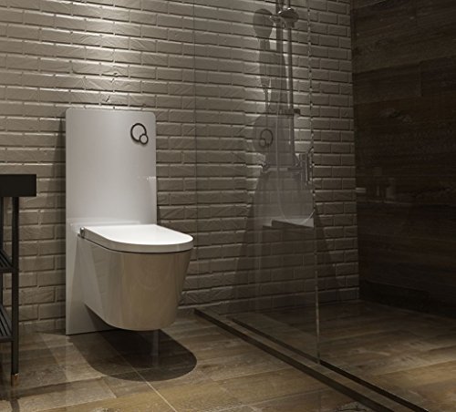 Weißglas Sanitärmodul für Wand-WC inkl. Betätigungsplatte von Terra Trading GmbH