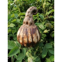 Blumenstecker Beetspitze Gartenkeramik Rosenkugel Dekospitze von TerraCottageKeramik