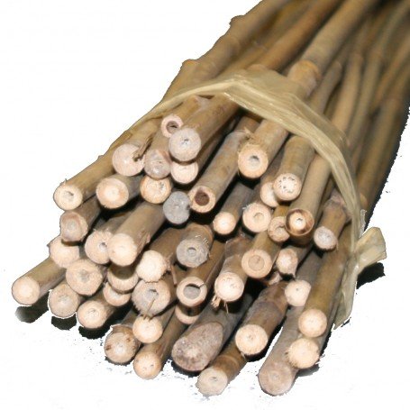 Bambus-Stäbe 90cm, Ø 9-12mm (100) von TerraGala