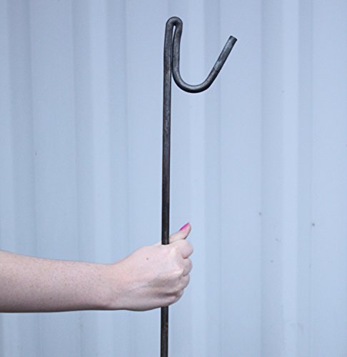 Rostfreie Stahlstangen, Zaunpfähle, Pfosten Ø8mm, 1.23m, zur Befestigung von Zäunen und Absperrungen (10) von TerraGala