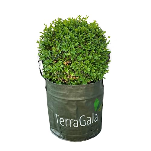 TerraGala Gartensack, Pflanzsack, Laubsack aus recyceltem Kunststoff, 15l Fassungsvermögen, Ø 30cm, 30cm Höhe (5 Stück) von TerraGala