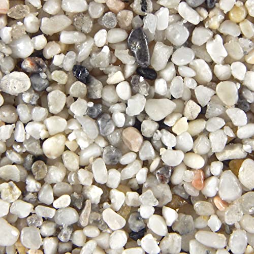 Terralith Steinteppich Marmor Komplett-Set für 1qm - Körnung: fein - 2-4mm mit Reinacrylat Bindemittel - für Wand in grau (natura) von Terralith