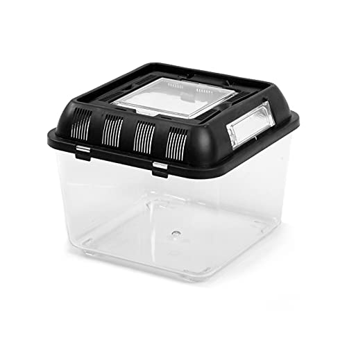 Terratlantis Reptile Multi Purpose S von TERRATLANTIS