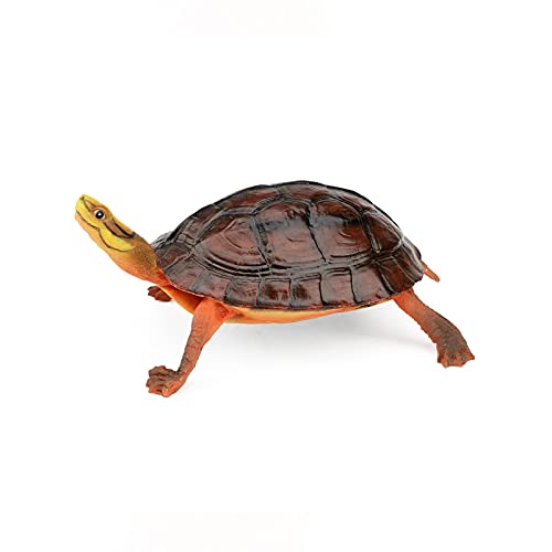 Terratlantis TD Brown Turtle von TERRATLANTIS