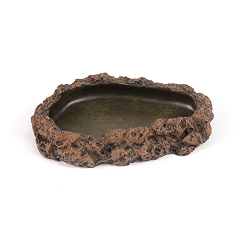 Terratlantis TD Dark Feeder 10.5Cm von TERRATLANTIS