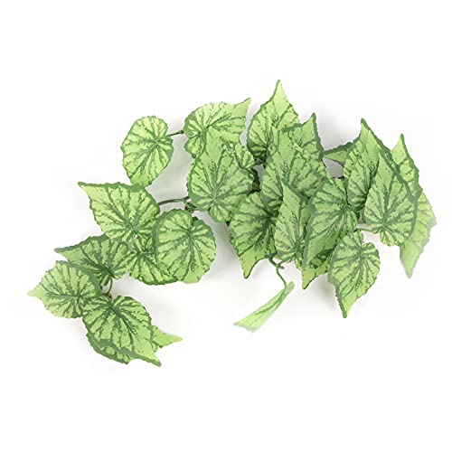Terratlantis TD Green Plant Model 2 von TERRATLANTIS