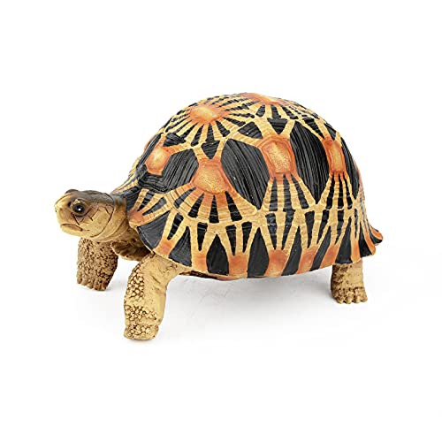 Terratlantis TD Radiated Turtle Terratlantis TD Radiated Turtle von TERRATLANTIS