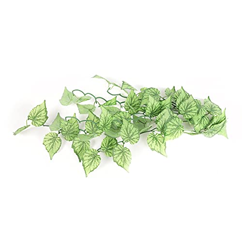TerratlantisTD Green Plant Model 1 von TERRATLANTIS