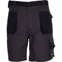 Terratrend Job - Herren Shorts Arbeitshose Dunkelgrau, Schwarz Herren Short, 48, Dunkelgrau, Schwarz von Terratrend Job