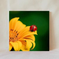 Dekofliese, 10x10 cm, Marienkäfer, Marienvogel, Gelbe Blume, Wildblume, Insekt, Mehrere Display-Optionen, Multicolor, Untersetzer, Animals_133 von TerrificTile