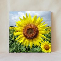 Dekorative Fliese, 10 X cm, Sonnenblumen, Gelbe Blumen, Sonnige Blume, Mehrere Anzeigeoptionen, Multicolor, Untersetzer, Flowers_63 von TerrificTile