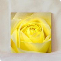 Dekorative Fliese, 10x10 cm, Gelbe Rosenblüte, Blume, Solitärrose, Hybridtee, Displayoptionen, Untersetzer, Flowers_23 von TerrificTile