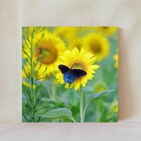 Dekorative Fliese, 10x10 cm, Schwarz Blauer Schmetterling, Gelbe Sonnenblumen, Großer Mehrere Aufstelleroptionen, Untersetzer, Butterfly_18 von TerrificTile