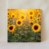 Dekorative Fliese, 10x10 cm, Sonnenblumen, Sonnenblumenfeld, Gelb, Mehrere Display-Optionen, Multicolor, Untersetzer, Flowers_36 von TerrificTile