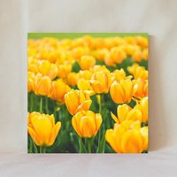 Dekorative Fliese, 15 X 50, Orange Tulpen, Blumen, Tulpenfeld, Blüte, Mehrere Anzeigemöglichkeiten, Multicolor, Untersetzer, Flowers_65 von TerrificTile