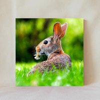 Dekorative Fliese, 4" X 4", Hase, Kleeblatt, Gras Rasen, Koney, Display-Optionen, Multicolor, Untersetzer, Animals_65 von TerrificTile