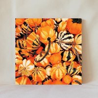 Dekorative Fliese, 4" X 4", Herbst Gemüse, Kürbis, Halloween Herbstlese, Mehrere Darstellungsoptionen, Multicolor, Untersetzer, Autumn_11 von TerrificTile